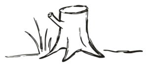 laureen-reitter-doodle-baumstumpf-nacht