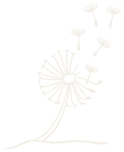 laureen-reitter-doodle-pusteblume-creme