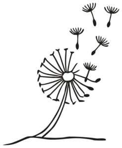 laureen-reitter-doodle-pusteblume-nacht